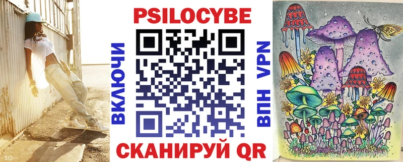 Псилоцибиновые грибы Psilocybine cubensis Лесосибирск
