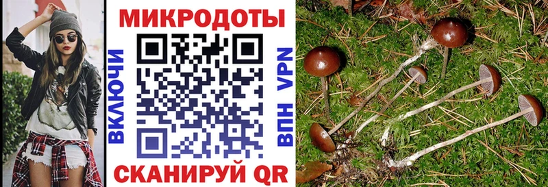 Псилоцибиновые грибы прущие грибы  Лесосибирск 
